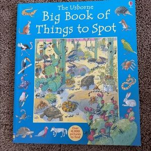 Usborne Big Book of Things to Spot